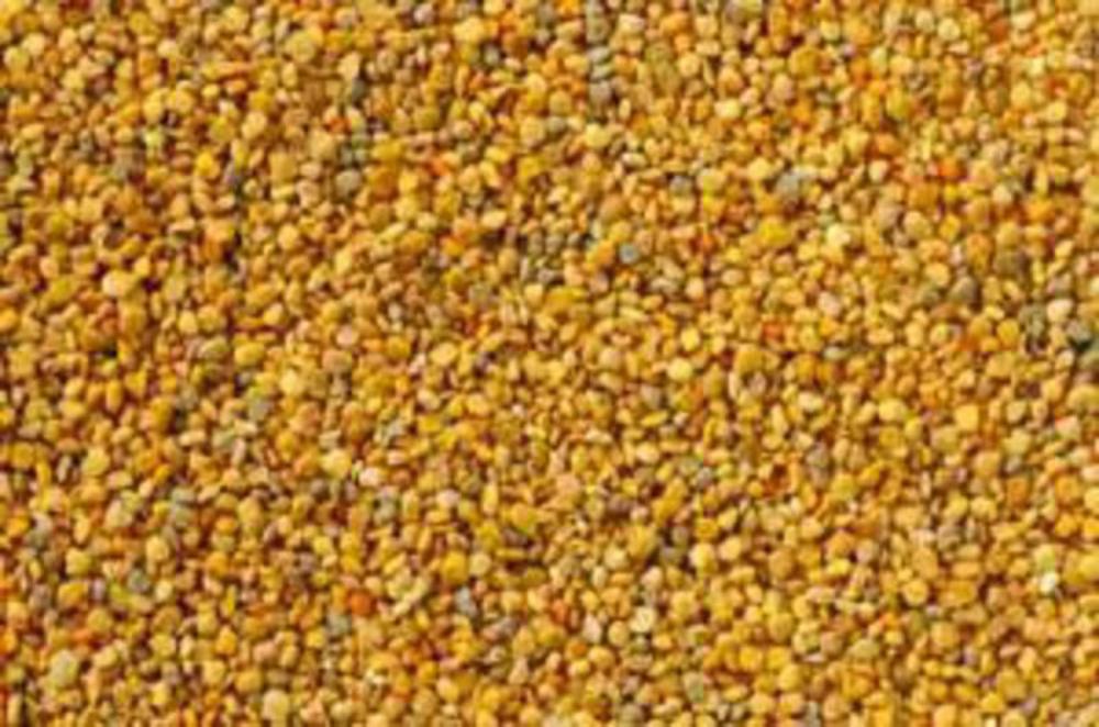 Bee Pollen From Real Vitality Superfoods